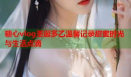 糖心vlog圣诞多乙温馨记录甜蜜时光与生活点滴