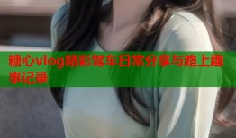 糖心vlog精彩驾车日常分享与路上趣事记录