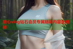 糖心vlog钻石会员专属精彩内容全揭秘
